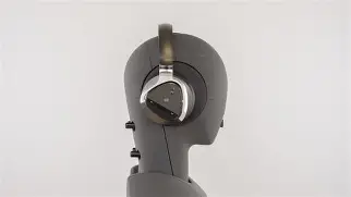 Don't Buy the Aurvana Platinum Wireless Until You Read This Full Analysis